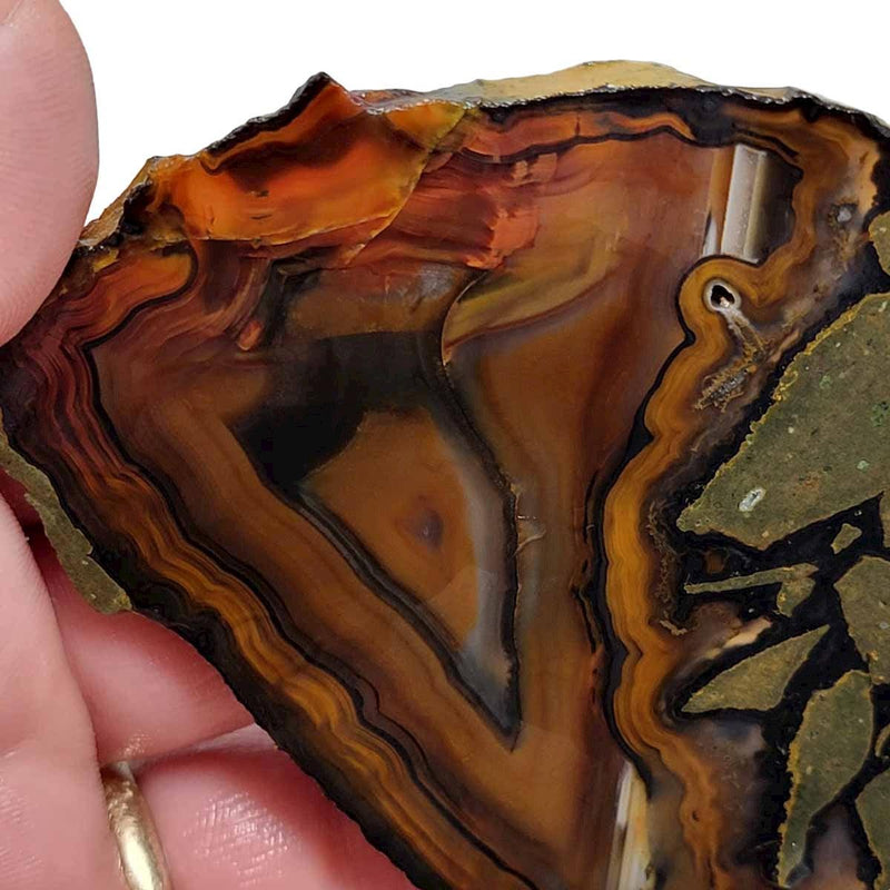 Piranha Brazilian Agate Slab!  Lapidary Stone Slab! - LapidaryCentral