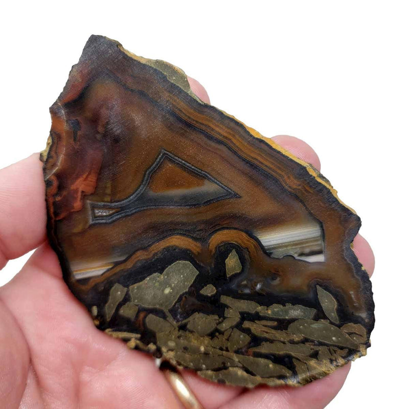 Piranha Brazilian Agate Slab!  Lapidary Stone Slab! - LapidaryCentral