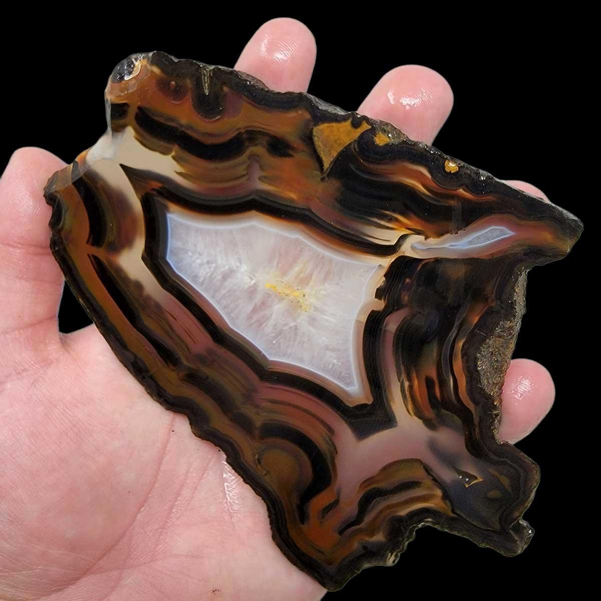 Brazilian Agate Piranha Agate Slab!  Lapidary Stone Slab! - LapidaryCentral