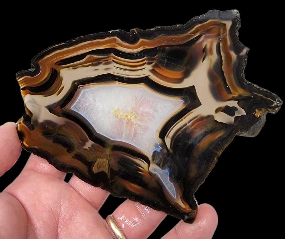 Brazilian Agate Piranha Agate Slab!  Lapidary Stone Slab! - LapidaryCentral