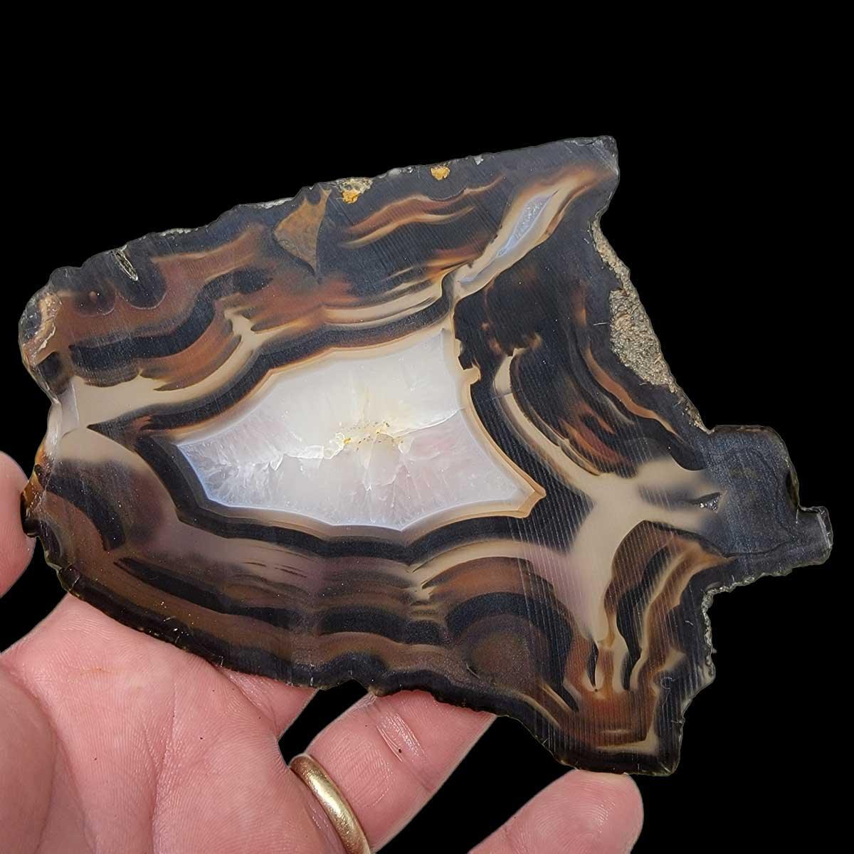 Brazilian Agate Piranha Agate Slab!  Lapidary Stone Slab! - LapidaryCentral