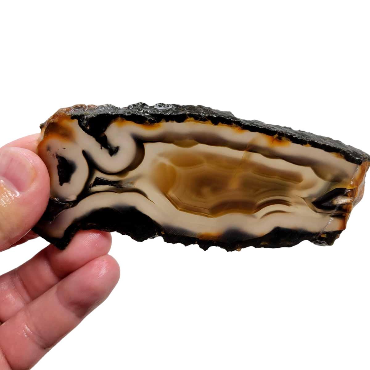 Brazilian Agate Slab! Lapidary Stone Slab! - Lapidary Central