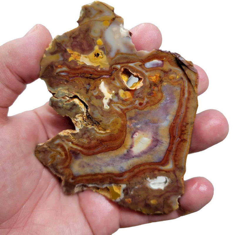 Rooster Tail Jasper Slab!  Lapidary Stone Slab! - LapidaryCentral