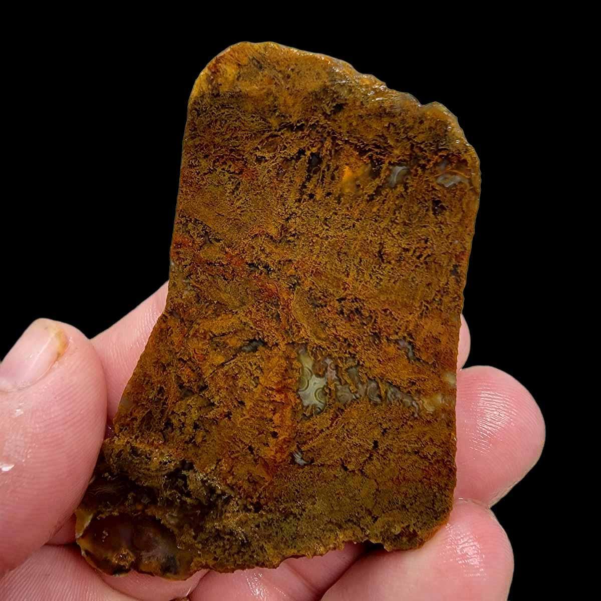Jumpin' Jeep Agate Slab!  Lapidary Stone Slab! - LapidaryCentral