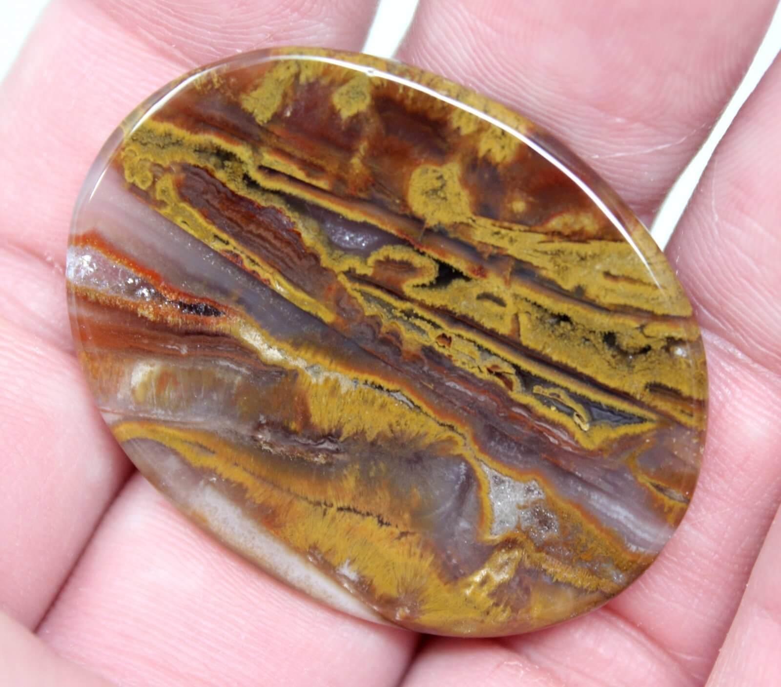 Indonesian Ocean Jasper Fossil Palm Root Cabochon! - LapidaryCentral