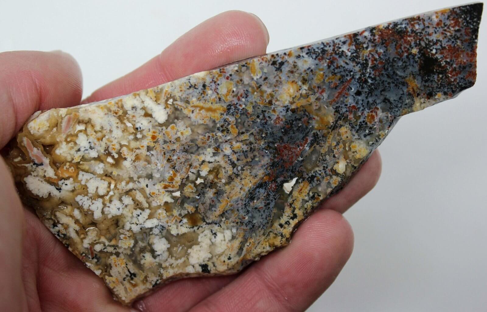 GORGEOUS Mystery Plume Agate Slab!  Multicolored! - LapidaryCentral