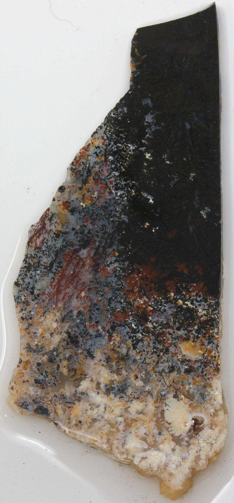 GORGEOUS Mystery Plume Agate Slab!  Multicolored! - LapidaryCentral