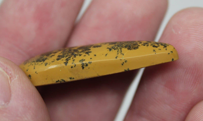 Flower Dendritic Jasper Cabochon!  Lapidary Stone Cab! - LapidaryCentral