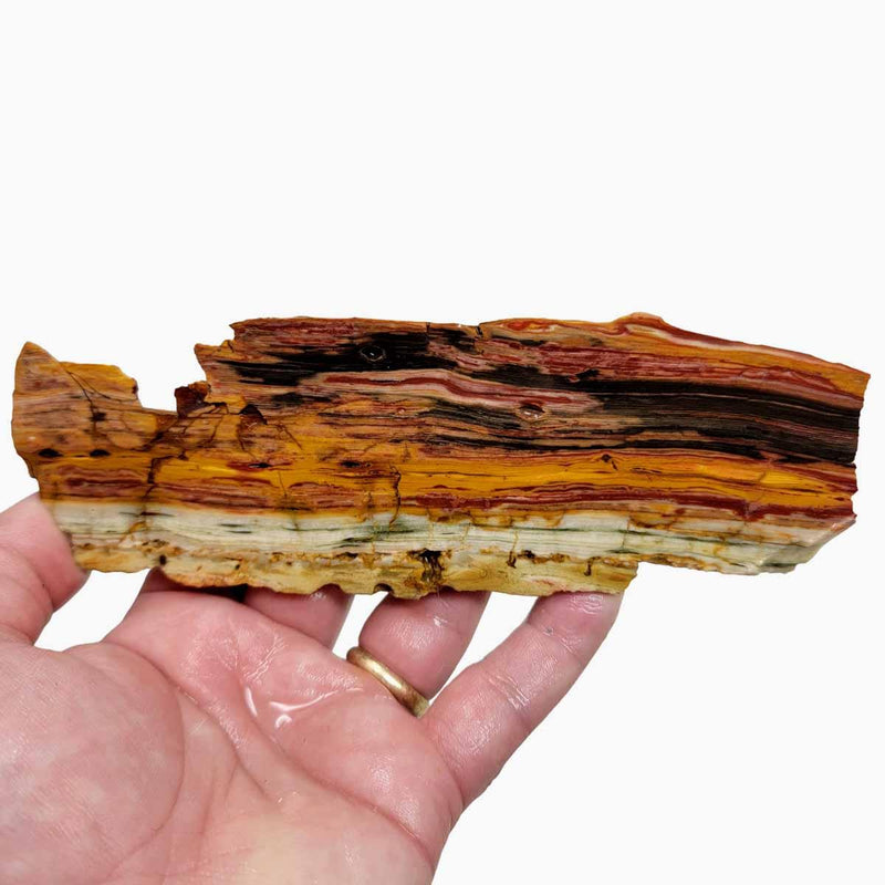 Caldera Freedom Jasper Red Gary Green Larsonite Jasper Slab! - LapidaryCentral