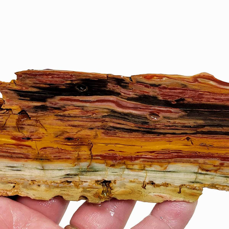 Caldera Freedom Jasper Red Gary Green Larsonite Jasper Slab! - LapidaryCentral