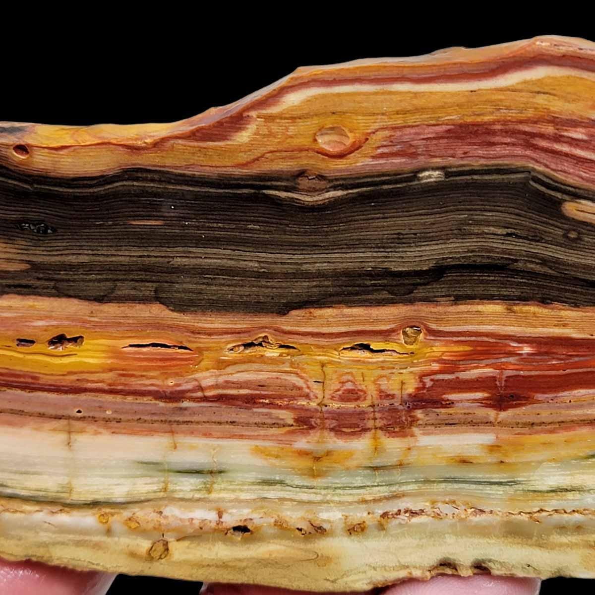 Caldera Freedom Jasper Red Gary Green Larsonite Jasper Slab! - LapidaryCentral