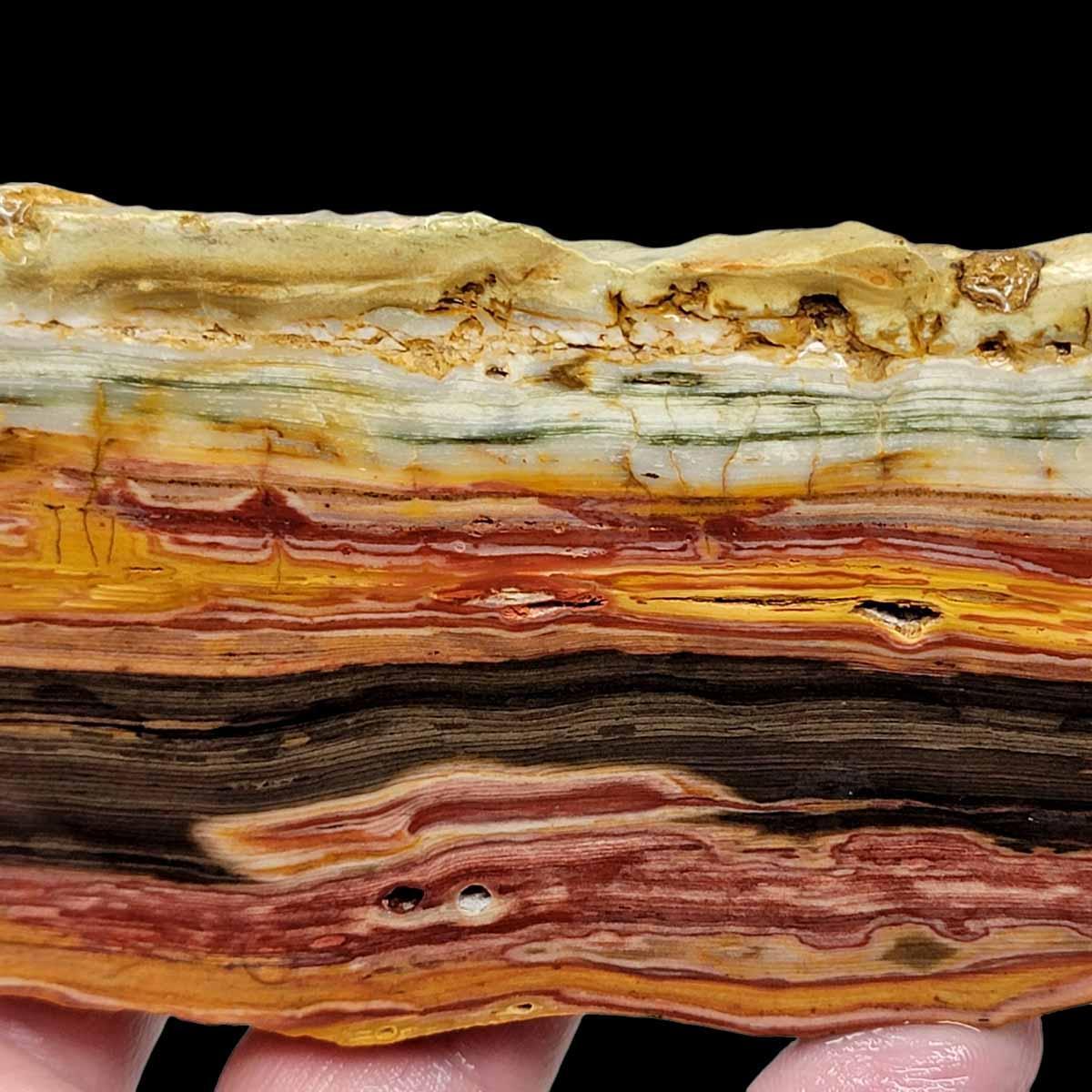 Caldera Freedom Jasper Red Gary Green Larsonite Jasper Slab! - LapidaryCentral