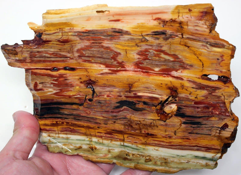 Caldera Freedom Jasper Red Gary Green Larsonite Jasper Slab! - LapidaryCentral
