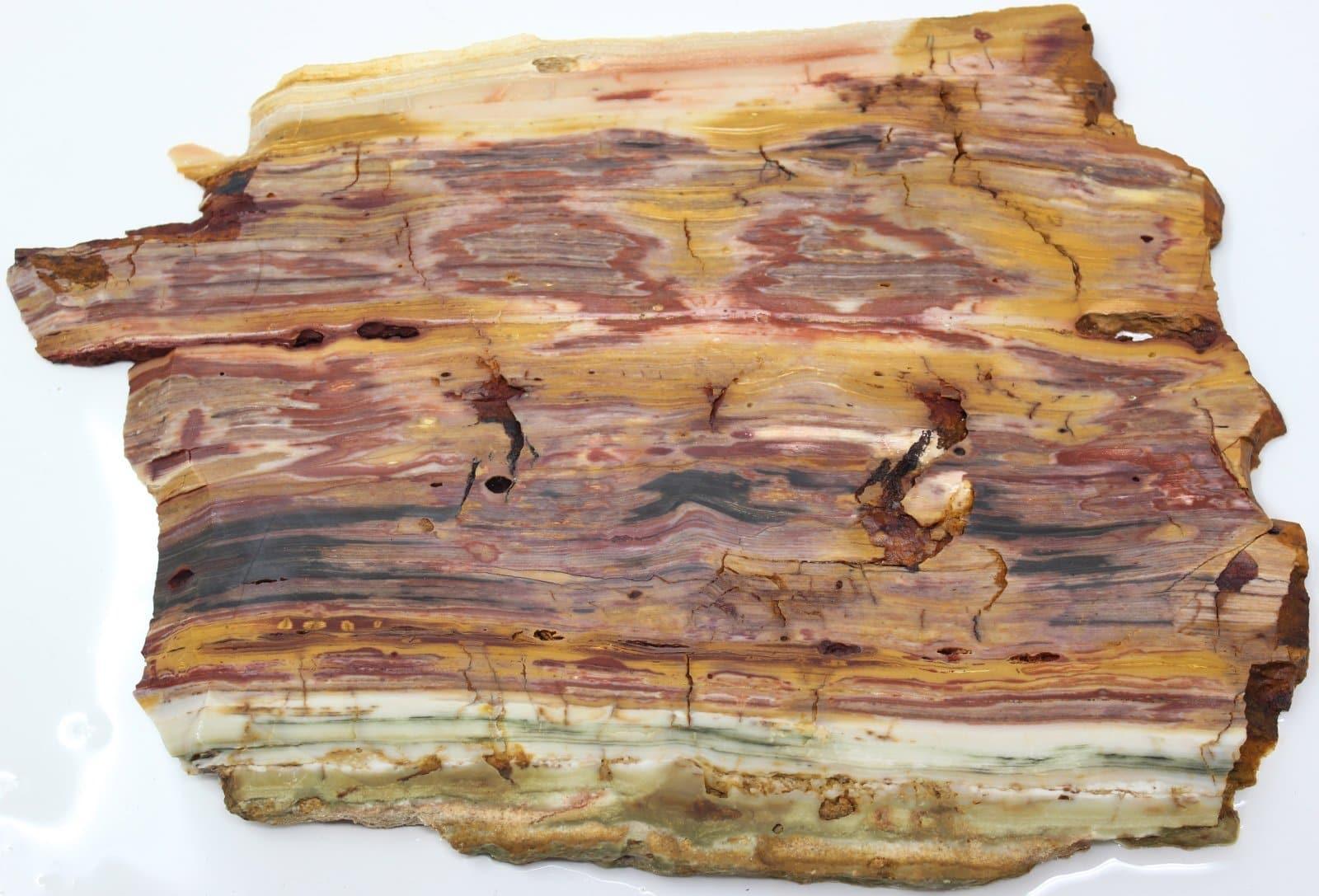 Caldera Freedom Jasper Red Gary Green Larsonite Jasper Slab! - LapidaryCentral