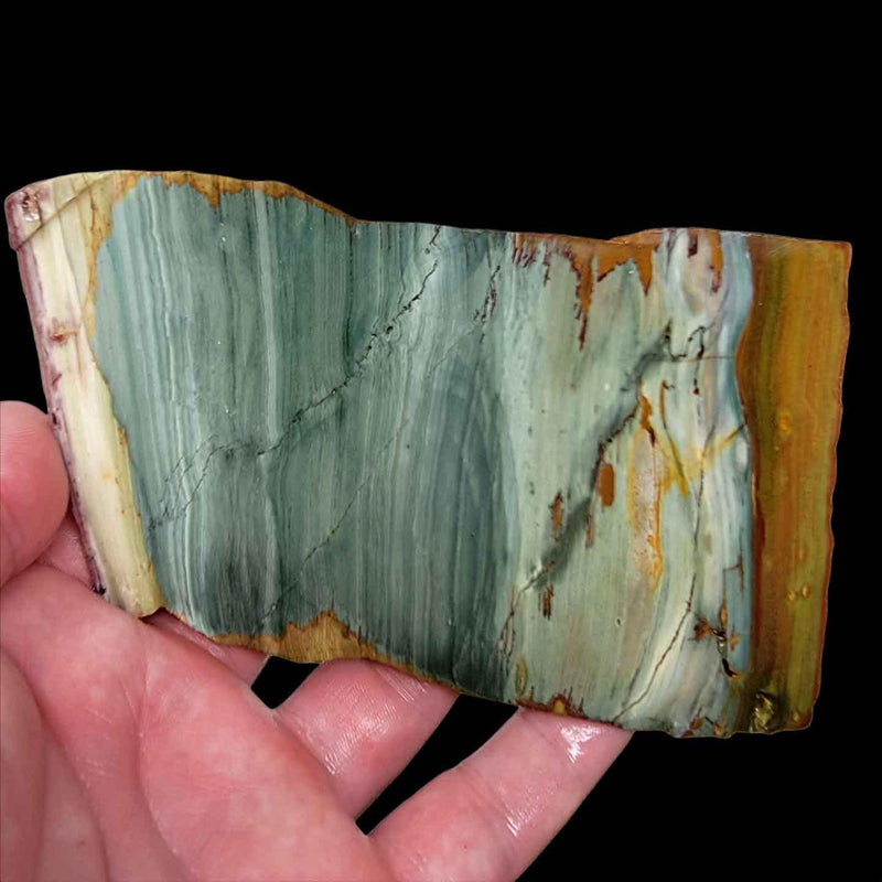 Gary Green Freedom Jasper Slab! Lapidary Stone Slab! - LapidaryCentral