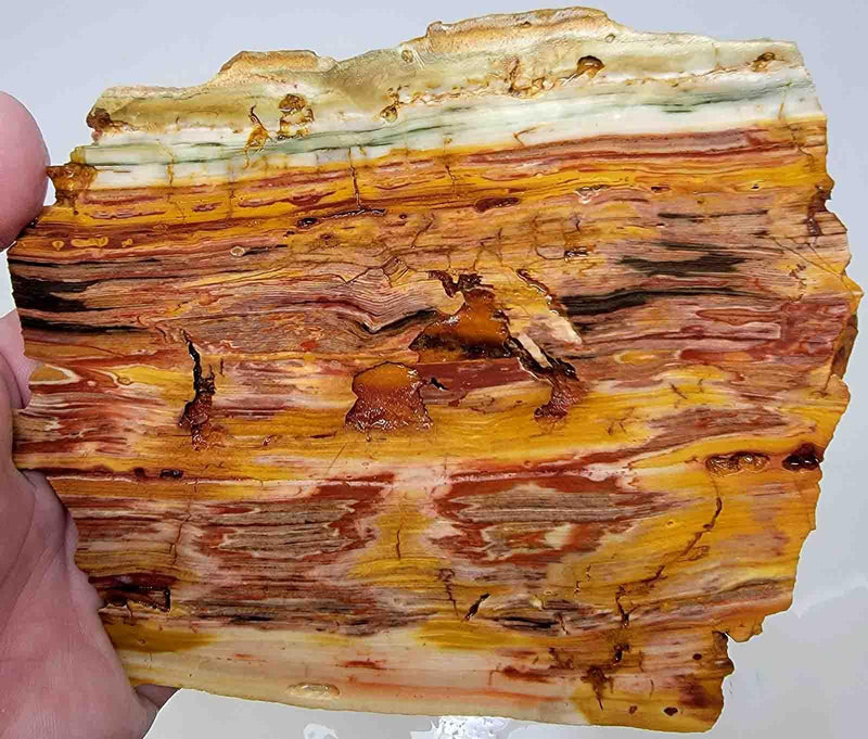 Caldera Paint Jasper Large Lapidary Stone Slab! - LapidaryCentral