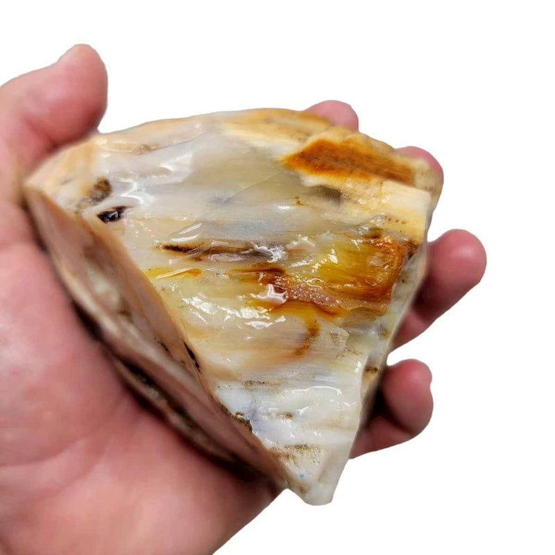 Calico Splatted Oak Opalized Wood Rough Chunk! - LapidaryCentral