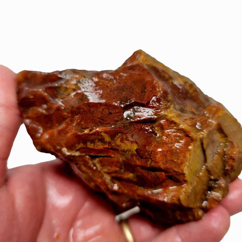 Old Stock Carey Plume Agate Rough Chunk! - LapidaryCentral