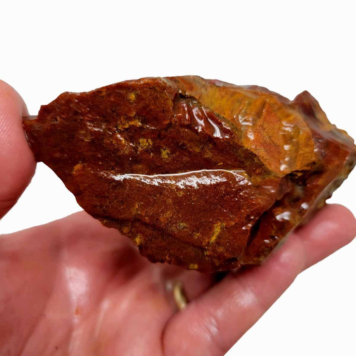 Old Stock Carey Plume Agate Rough Chunk! - LapidaryCentral