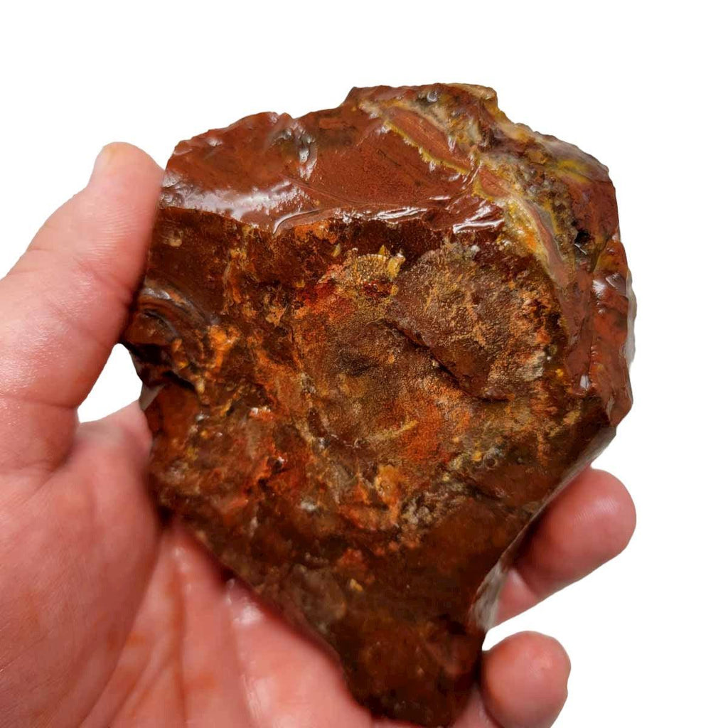 Old Stock Carey Plume Agate Rough Chunk!