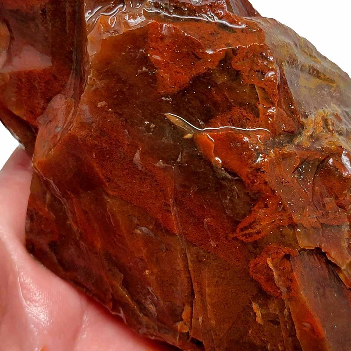 Old Stock Carey Plume Agate Rough Chunk! - LapidaryCentral