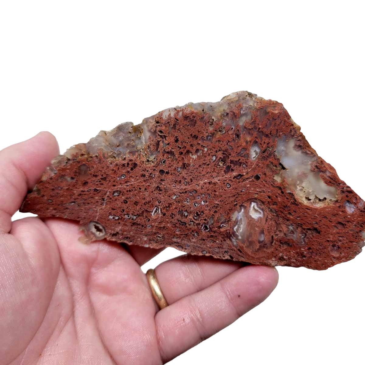 Old Stock Carey Plume Agate Slab! Lapidary Stone Slab! - Lapidary Central