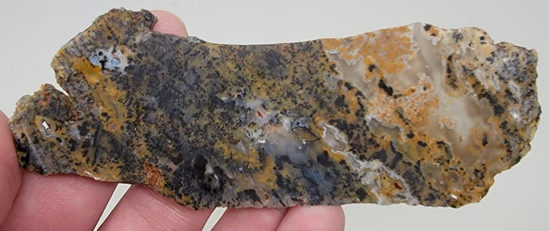 Brazilian Cheetah Stone Slab! Lapidary Stone Slab! Apatite Mine Agate! - LapidaryCentral