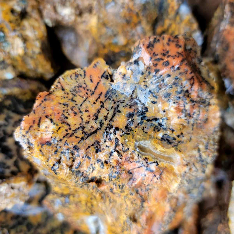 RARE Cheetah Agate Lapidary Cutting Rough Flatrate! - Lapidary Central
