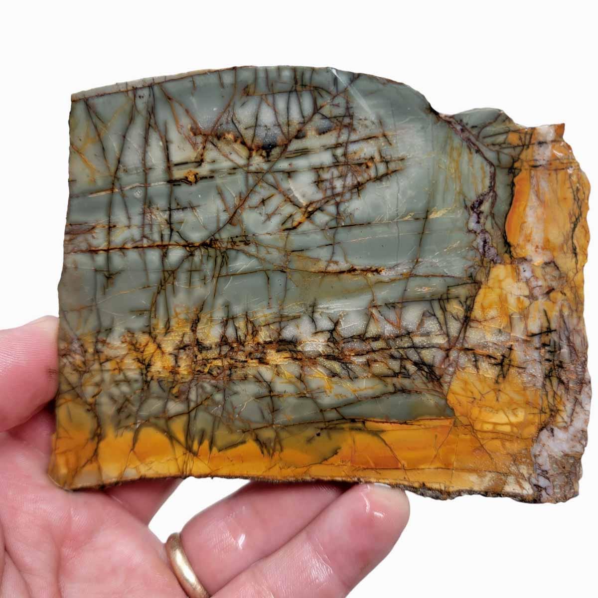 Cherry Creek Jasper Slab! Lapidary Stone Slab! - Lapidary Central