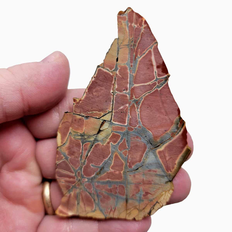 Cherry Creek Jasper Slab!  Lapidary Stone Slab! - LapidaryCentral