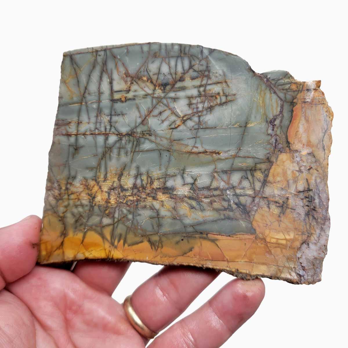 Cherry Creek Jasper Slab! Lapidary Stone Slab! - Lapidary Central