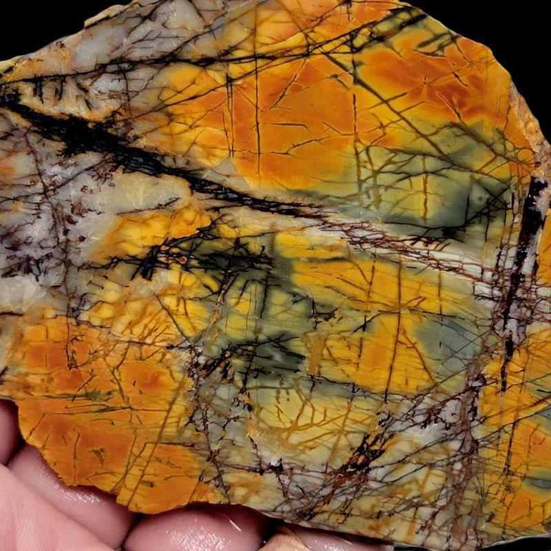 Cherry Creek Jasper Slab!  Lapidary Stone Slab! - LapidaryCentral