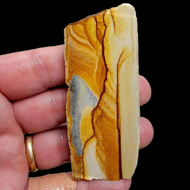 Chicken Track Jasper Slab!  Lapidary Stone Slab! - LapidaryCentral