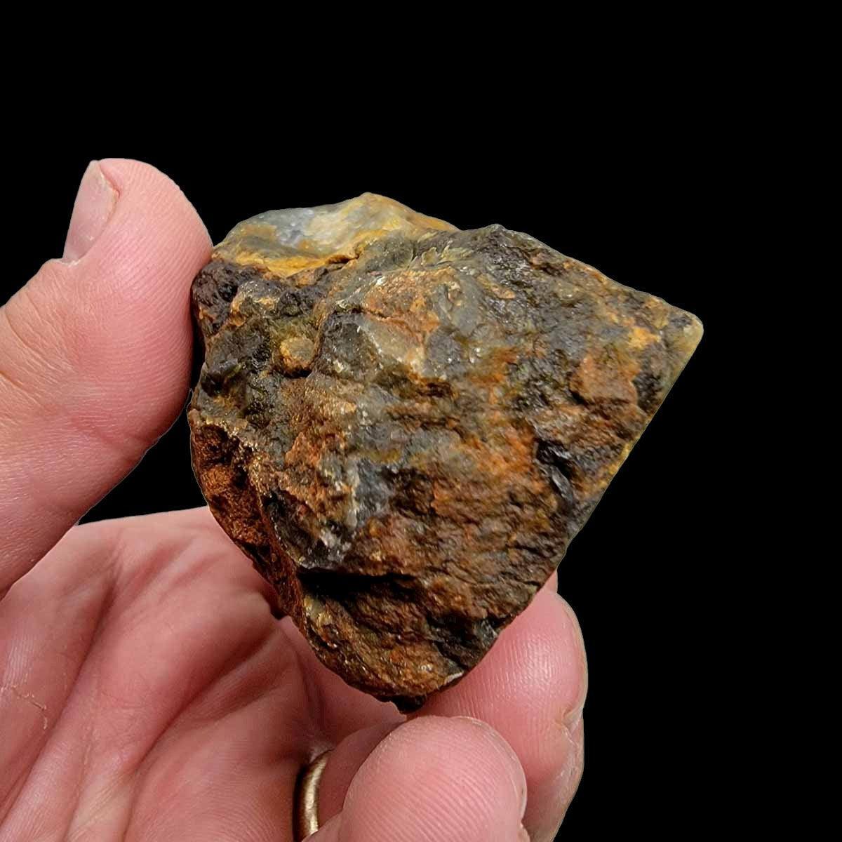 Polished Coprolite Fossil Dino Poo Display Specimen! - LapidaryCentral