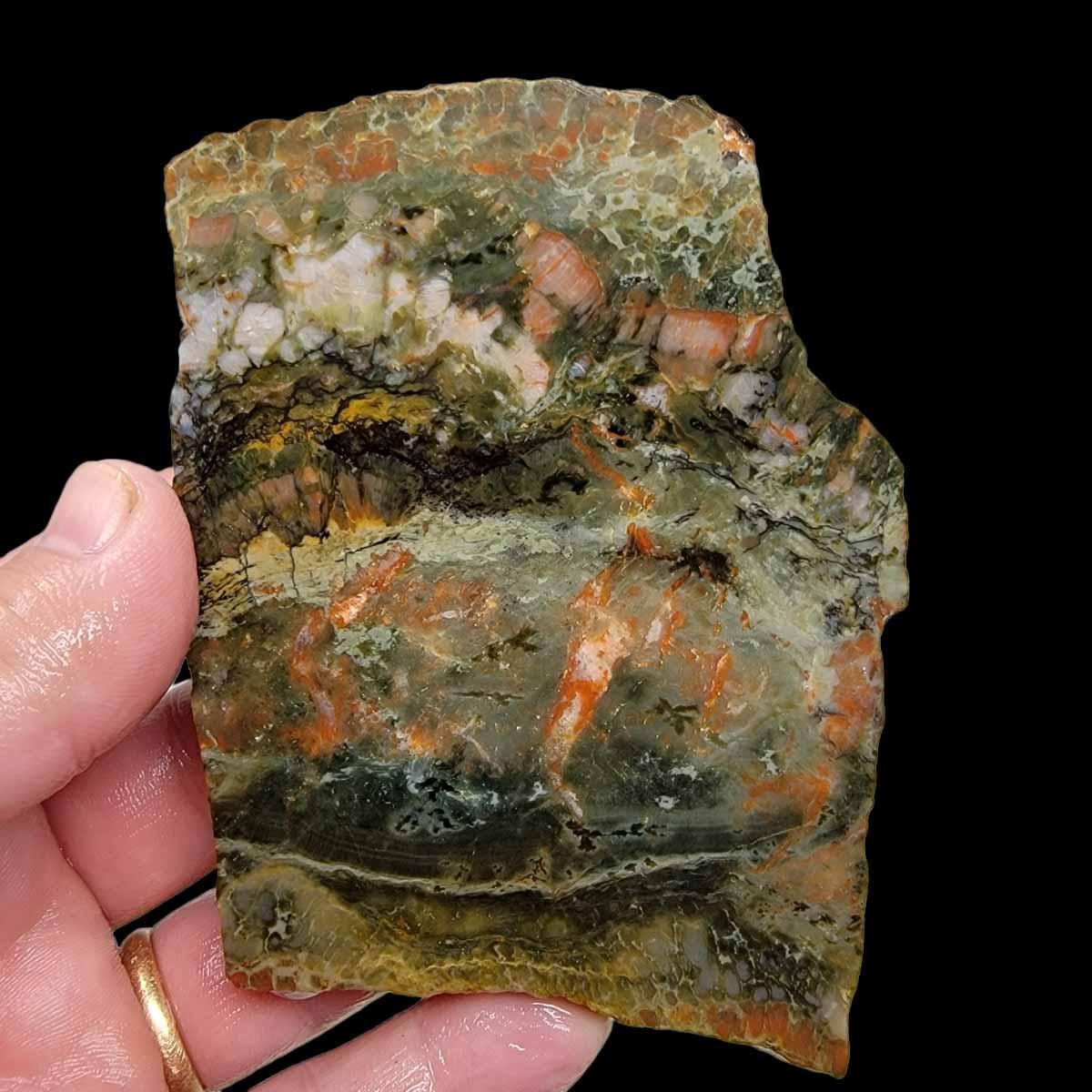 Coprolite Fossil Dinosaur Poo Slab!  Lapidary Stone Slab! - LapidaryCentral