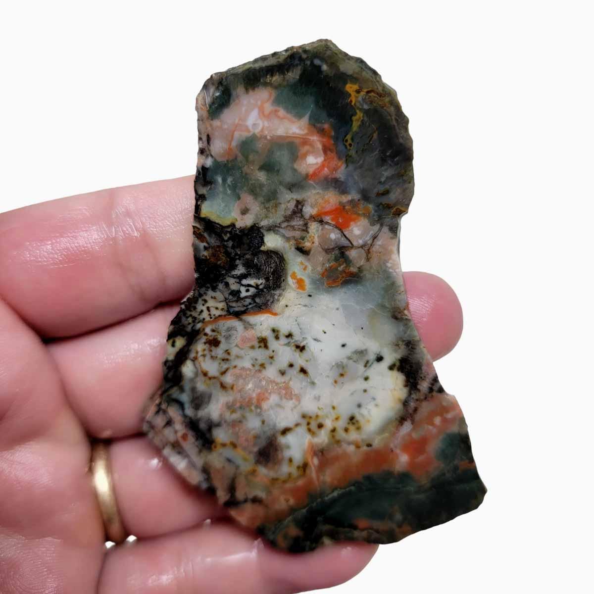 Coprolite Fossil Dinosaur Poo Slab!  Lapidary Stone Slab! - LapidaryCentral