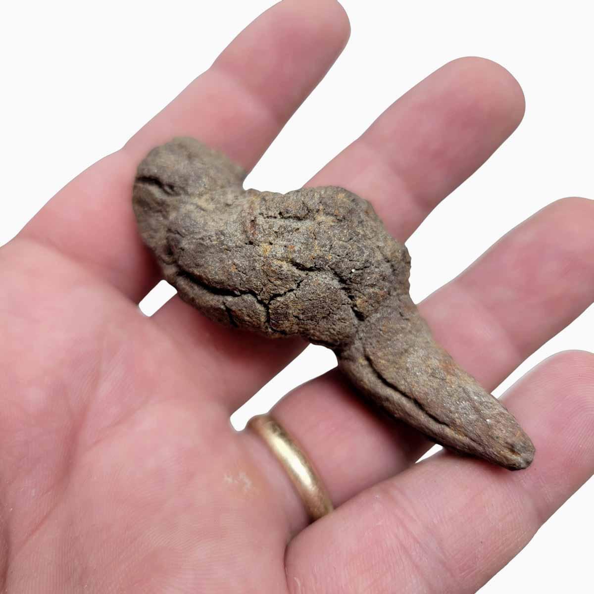 Fossil Madagascar Coprolite Turtle Poo Specimen! - LapidaryCentral