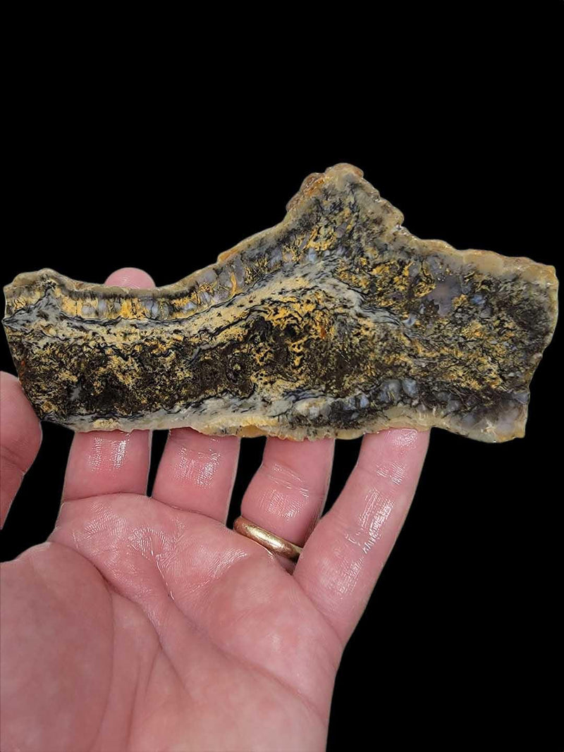 Coprolite Fossil Dinosaur Poo Slab!  Lapidary Stone Slab! - LapidaryCentral