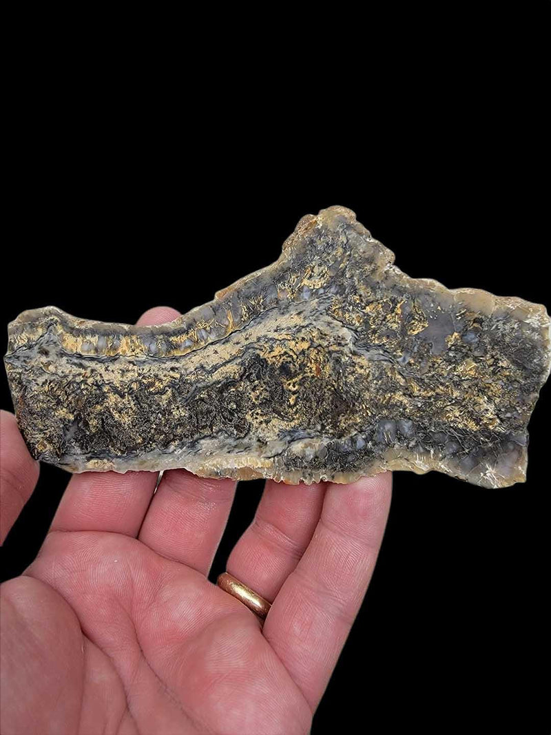Coprolite Fossil Dinosaur Poo Slab!  Lapidary Stone Slab! - LapidaryCentral