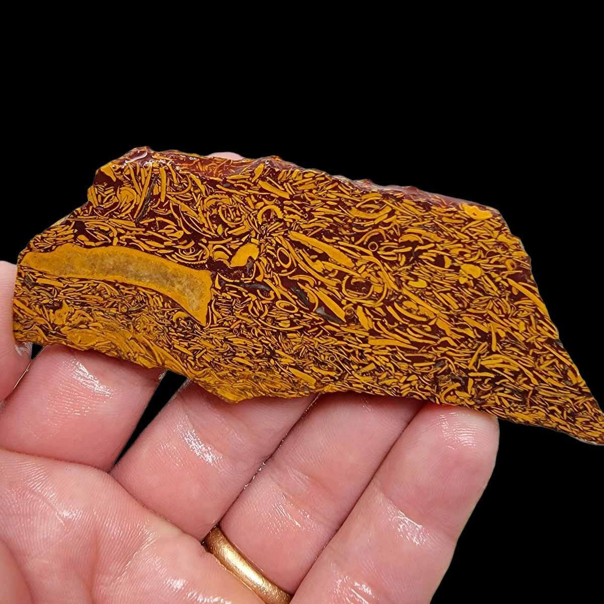 Script F Diamond Stone Fossil Script Stone Slab! Lapidary Stone Slab!