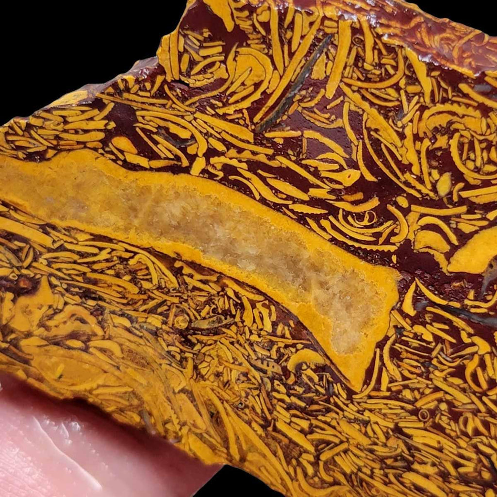 Fossil Script Stone Slab! Lapidary Stone Slab!