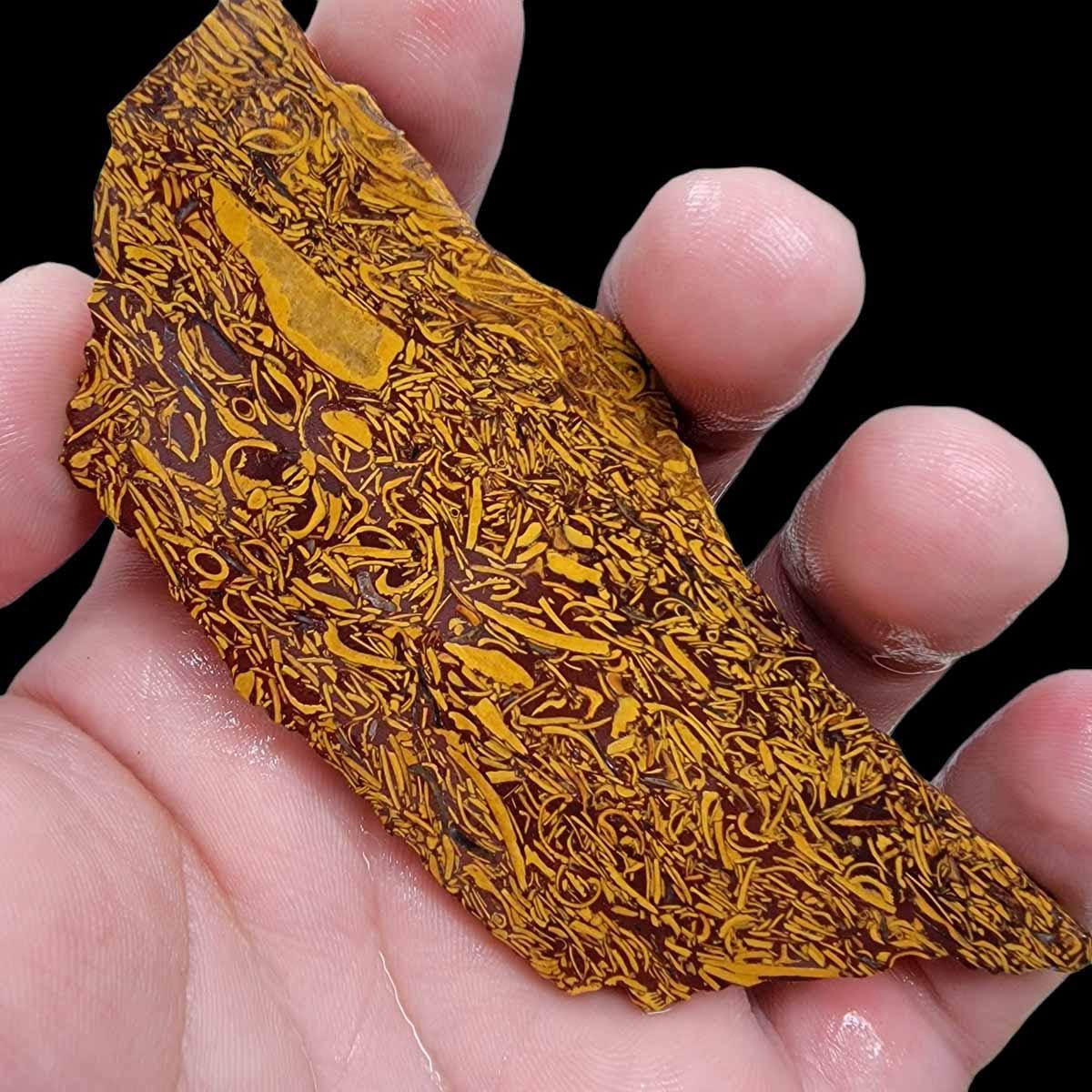 Fossil Script Stone Slab! Lapidary Stone Slab!