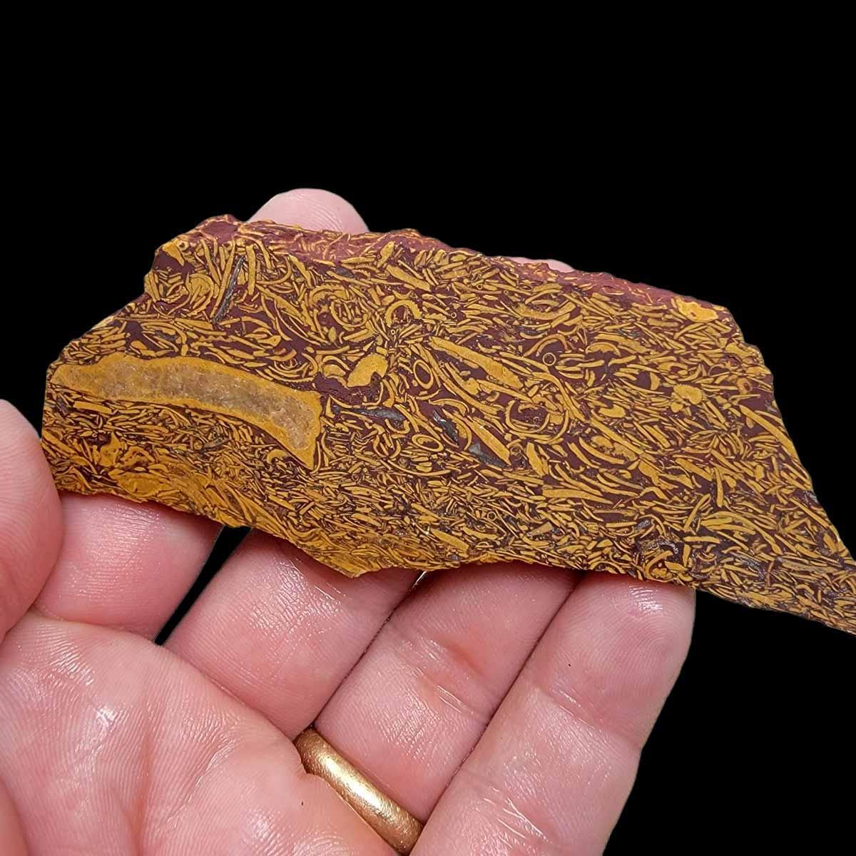 Tumbled Script Stone Fossil Script Stone Slab! Lapidary Stone Slab!