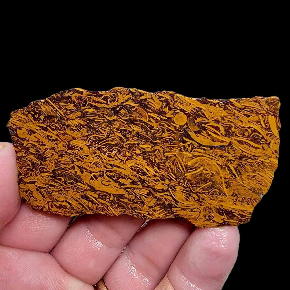 Script F Diamond Stone Fossil Script Stone Slab! Lapidary Stone Slab!