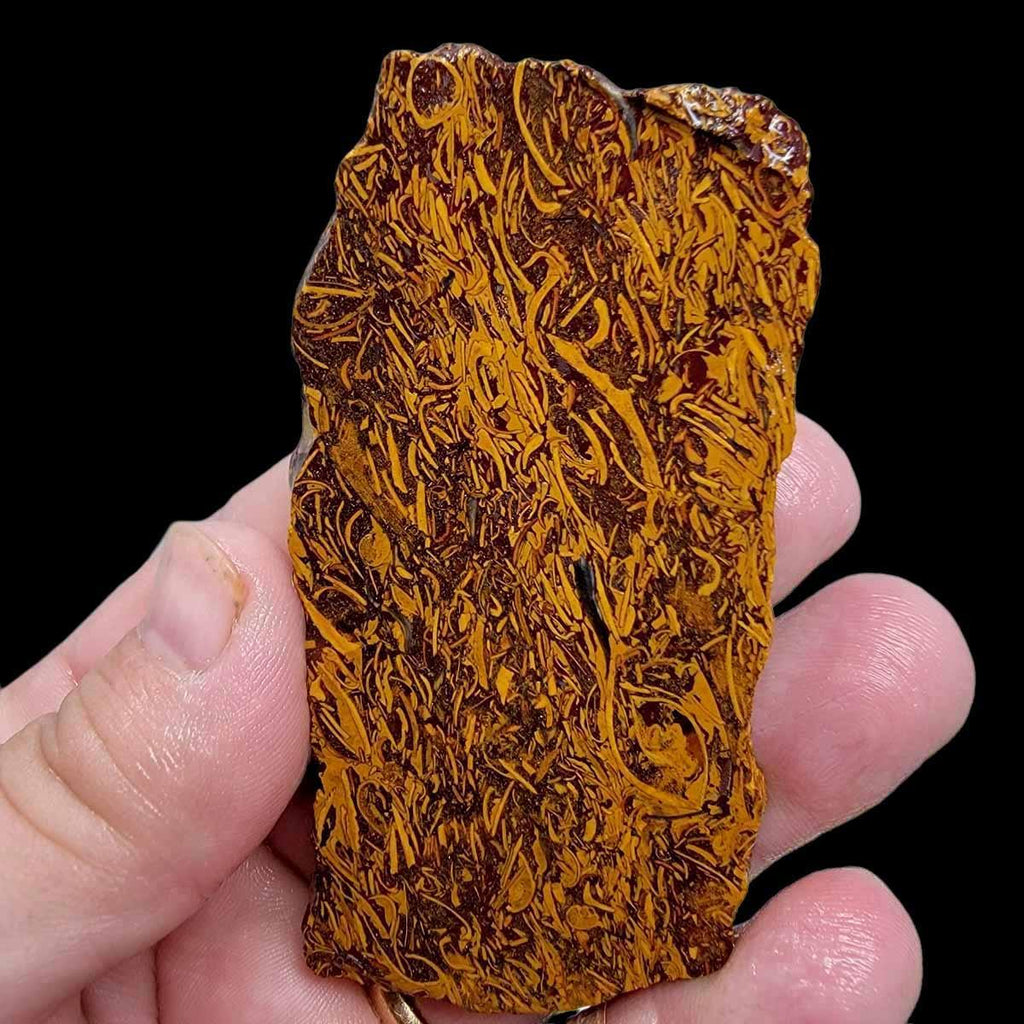 Fossil Script Stone Slab! Lapidary Stone Slab!