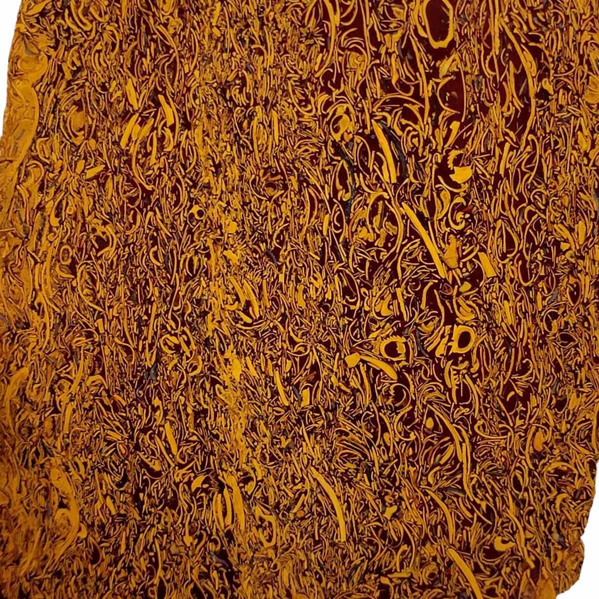 Tumbled Script Stone Fossil Script Stone Slab! Lapidary Stone Slab!