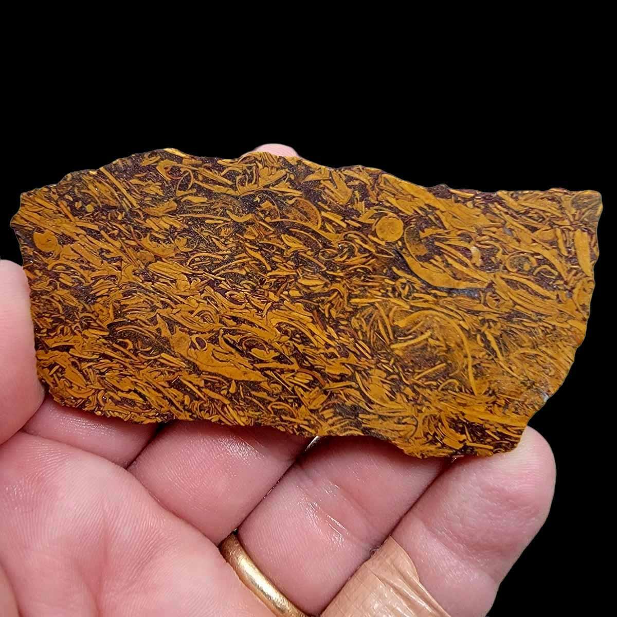 Tumbled Script Stone Fossil Script Stone Slab! Lapidary Stone Slab!