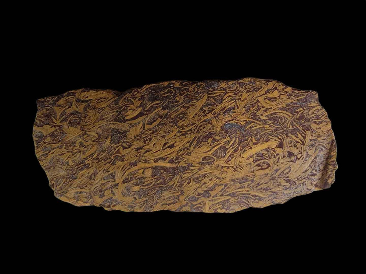 Tumbled Script Stone Fossil Script Stone Slab! Lapidary Stone Slab!