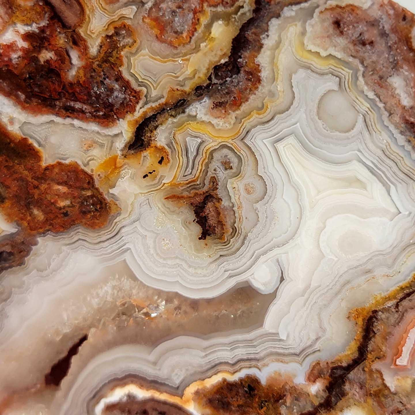 Crazy Lace Agate Slab!  Lapidary Stone Slab! - LapidaryCentral