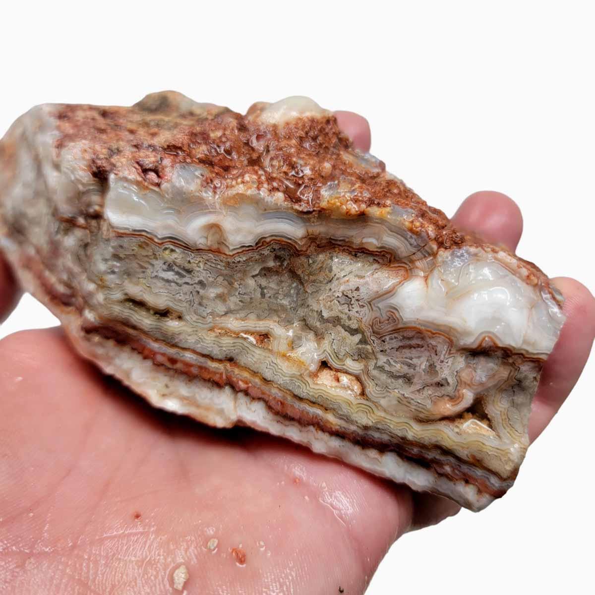Crazy Lace Agate Rough Chunk! - LapidaryCentral